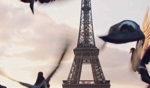 Excursions Sur-Mesure _ Découverte Touristique avec Nos Chauffeurs Excursions Sur-Mesure _ Découverte Touristique avec Nos Chauffeurs
