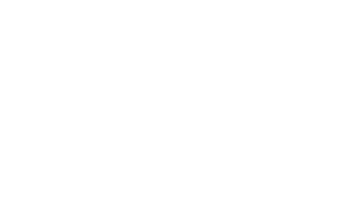Service chauffeur vip